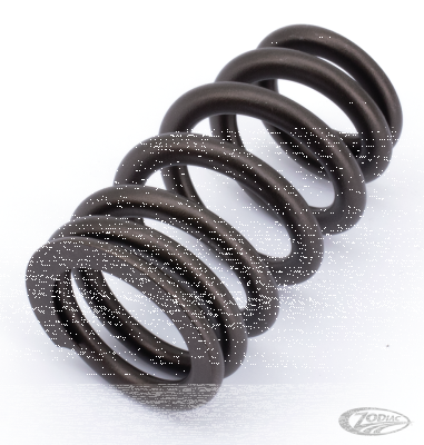 KPMI valve spring f/zpn756030 & 756031 (DE)