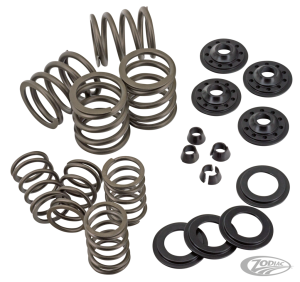 Complete Valve spring kit OHVBT36-47