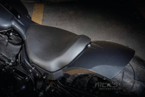 260 on 8" rim RR fender FLFB/FXBR18-up (DE)