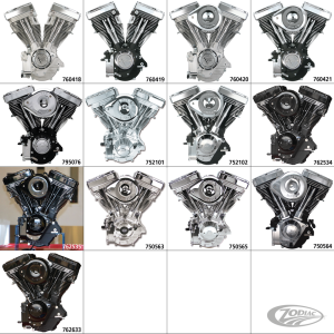 S&S V80 engine Natural no ign./no carb (DE)