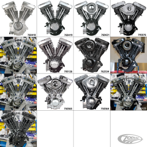 S&S V80 engine Natural no ign./no carb (DE)