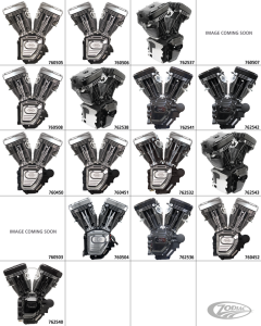 T124A engine, silver, No Induction/Ign (DE)