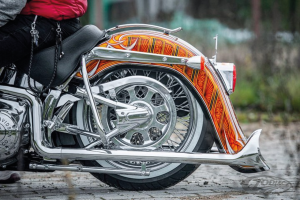 Rear Fender El Cabron F*ST00-17 (DE)