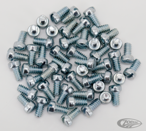 50pck Fillisterhead screw 6-32x1/4 (DE)