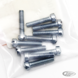 10pck Fillisterhead screw 8-32x3/4 WhP