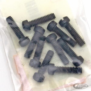 10pck Fillisterhead screw 10-24x3/4 prk (DE)