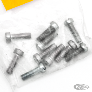 10pck Fillisterhead screw 10-32x5/8, WhP (DE)