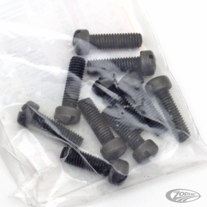 10pck Fillisterhead screw 10-32x5/8 prk