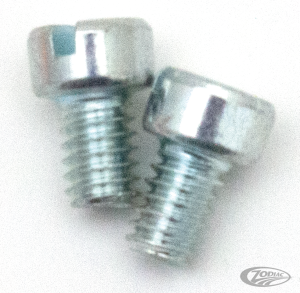 2pck Fillisterhead screw 8-32x1/4