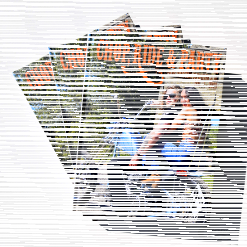 Chop Ride & Party book 7 (DE)