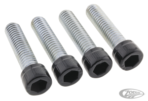 Foot Pegs DR Bolts Matt Blk ST18-Up (DE)