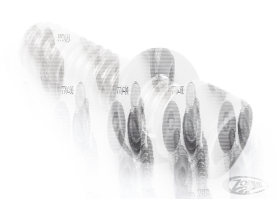 Belt Guard Screw Matt Blk XL04-22 (DE)
