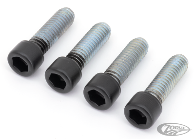 Foot Pegs DR Bolts Matt Blk XL04-22 (DE)