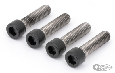 FR Fender SHCS screws Matt Blk XL04 (DE)