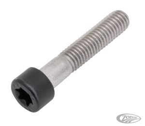 Axle Clamp Screw Matt Blk RA21-Up RH21-u (DE)