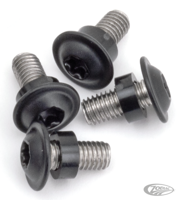 Belt Guard Bolts Matt Blk RH21-Up (DE)