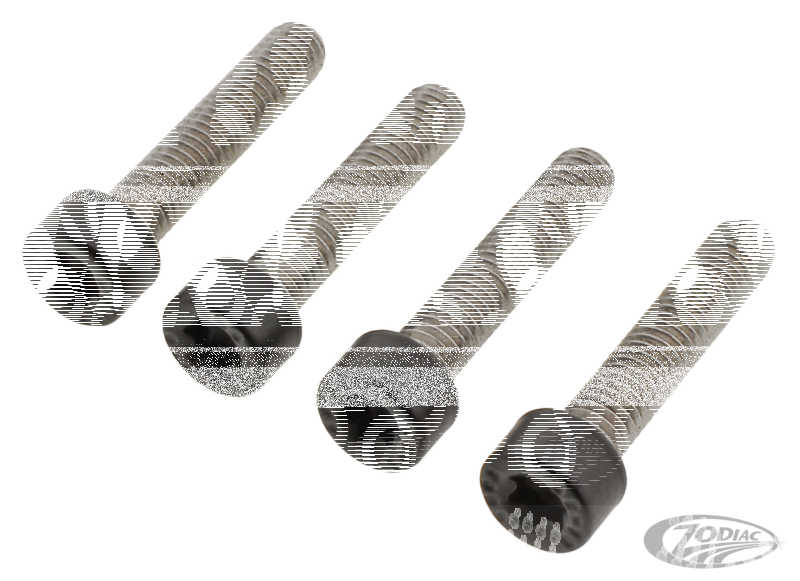 FR Fender Bolts Matt Blk 975RH21-Up (DE)
