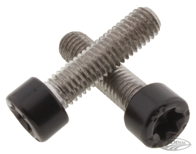 Bar-Ends Bolts RH21-Up (DE)
