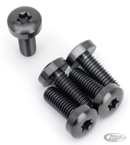 Brake Rotor RR Bolts Titanium Black (DE)