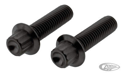 Caliper FR Bolts Titanium Black K1