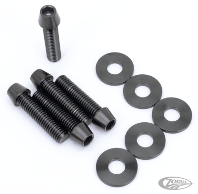 Titan Pulley Bolts Black BT93-99 XL91 (DE)