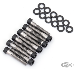 Prim. Cover Bolts Matt Blk RH/RA21-Up (DE)