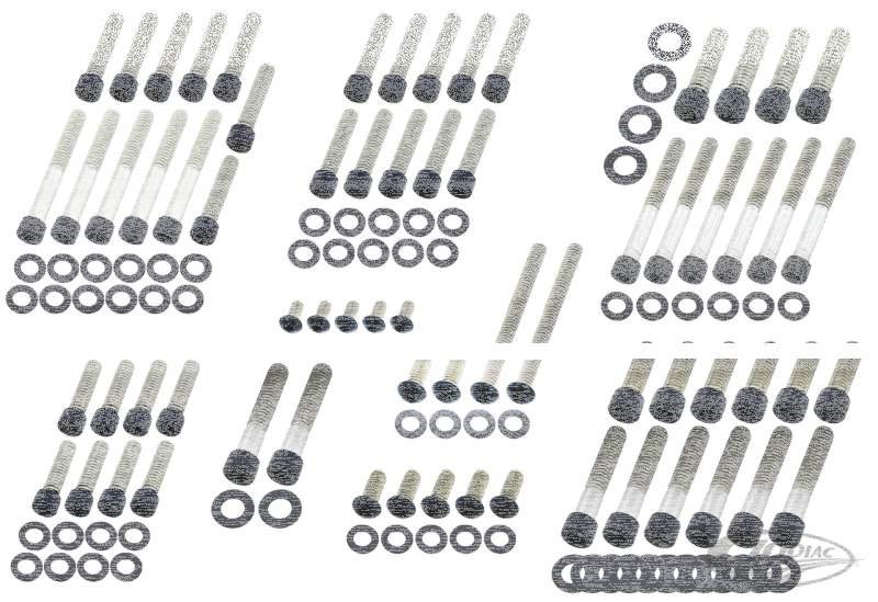 Eng. Bolt Kit Matt Blk ST00-06 FXD99-05 (DE)