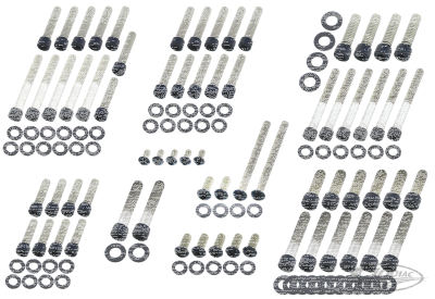 Eng. Bolt Kit Matt Blk ST00-06 FXD99-05 (DE)