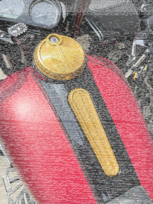 Next Level Fuel Door Gold FLH/T08-Up (DE)