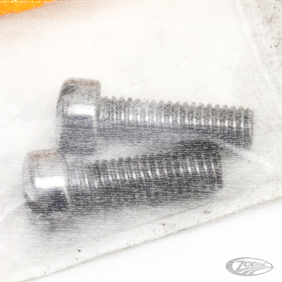 Screw generator cover set of 2 37-69 Chr (DE)