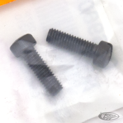 Screw generator cover set of 2 37-69 Prk (DE)