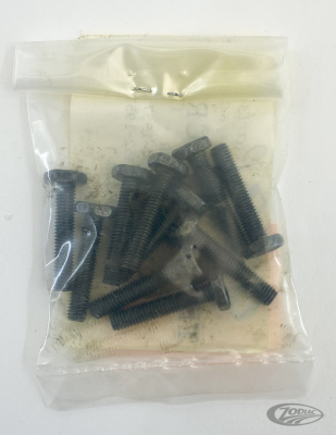 10pck Terminal screw (DE)