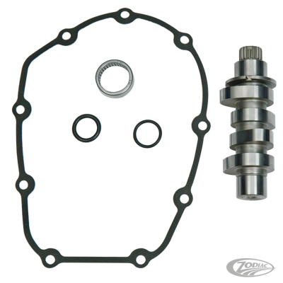 S&S 550C Cam ME17-up (DE)