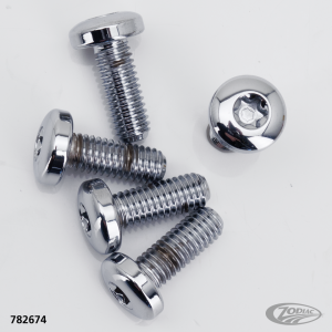 Chrome RR disc screw kit BT97-up (DE)