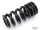 Hyperpro Shock Spring Black FXBR18-Up (DE)