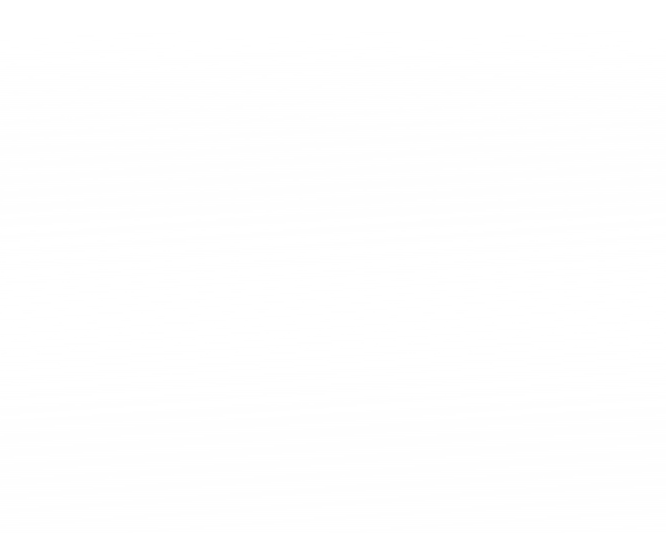 10Pck O-Ring #11101 (DE)