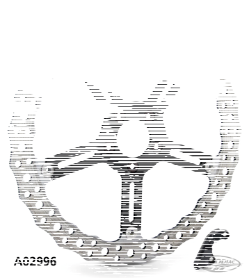 15" Jagged brake disc kit ST18-UP 49mm (DE)