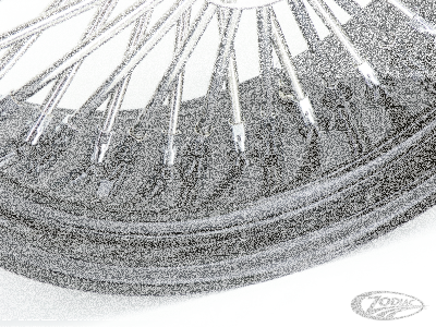 Black spoke Fat Daddy 17X3.5 50 (DE)