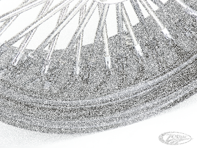 Black spoke Fat Daddy 18X3.5 50 (DE)