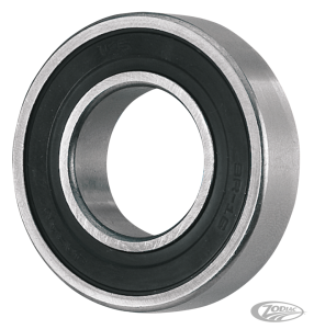 Mainshaft Support Plate (DE)