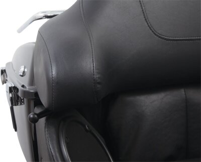 Holder Drnk Big Ass Pssngr Gen