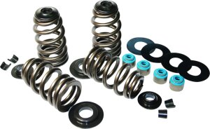 Valv Springs Econ05-17 Tc