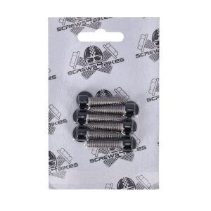 Screws4bikes, bolt kit, transmission top cover