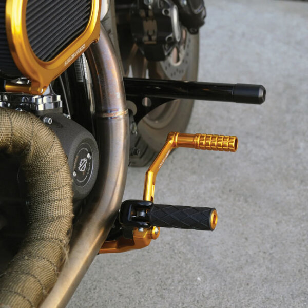 Arlen Ness, Speedliner Brake Arm. Gold