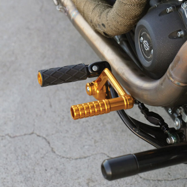 Arlen Ness, Speedliner Brake Arm. Gold