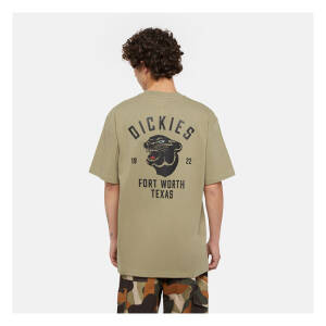 Dickies Panther t-shirt imperial green Size S