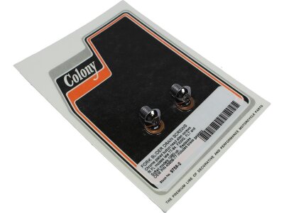 Fork Slider Drain Screws Chrome