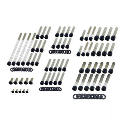 Screws4bikes, engine bolt kit. Gloss black
