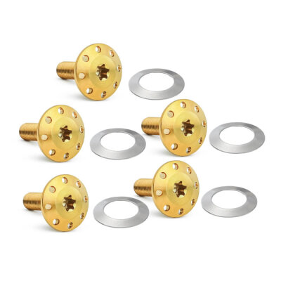 Arlen Ness, Titanium brake rotor bolt kit. Gold