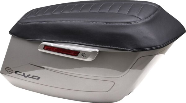 Cover Saddlebag Lid Black W/ G